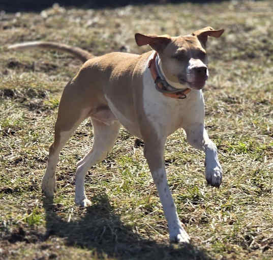 Photo of Benny