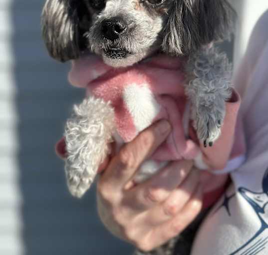 Photo of Minnie