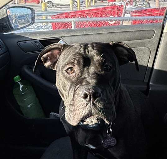 Photo of Desmond Washington Jr Russel the 3rd “Desi”