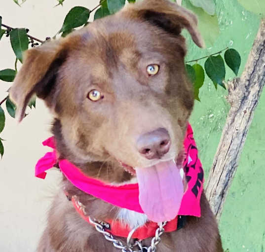Photo of KEIKO