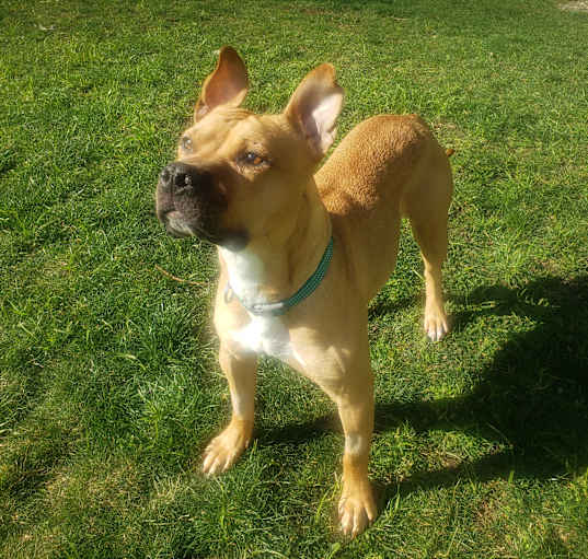 Photo of Lucy