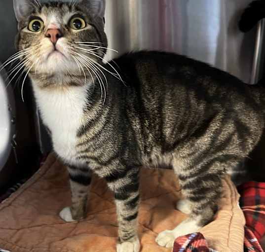Photo of Jasper