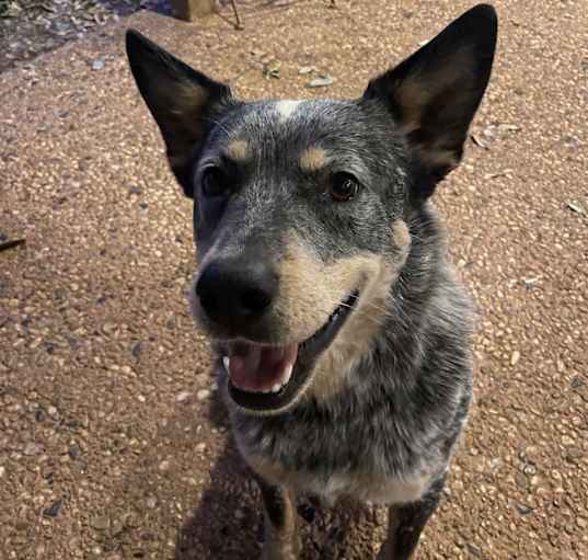 Photo of Blue