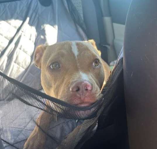 Photo of Gus