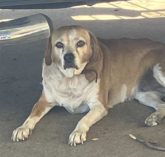 Photo of ZOE