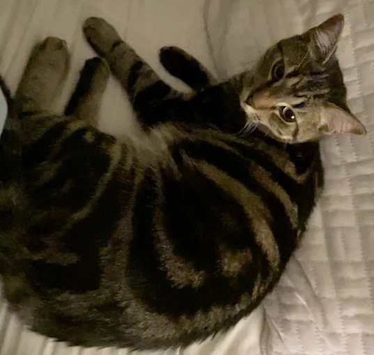 Photo of Whybie