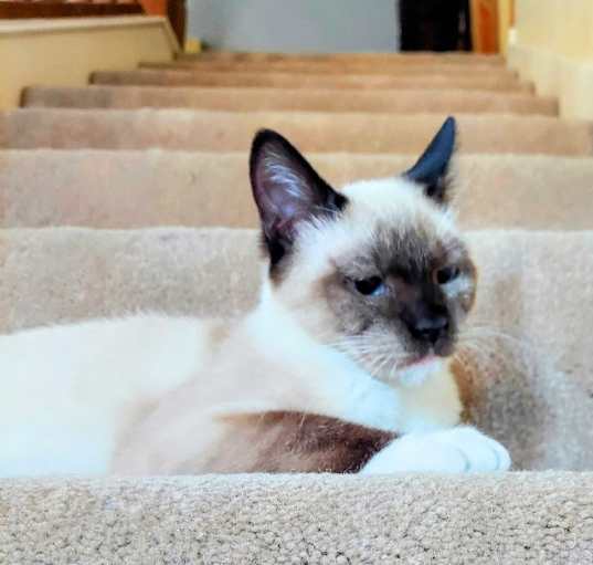 Photo of Timmy