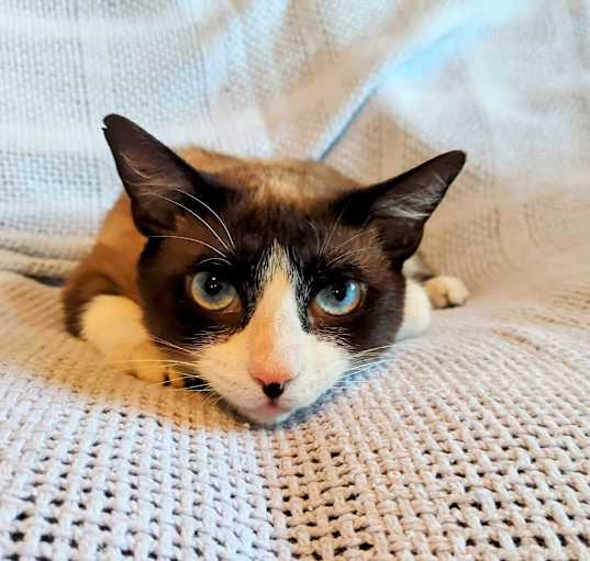Photo of Slugger