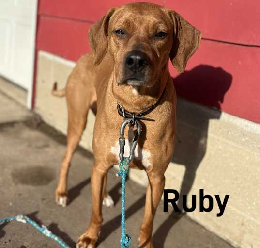 Photo of Ruby