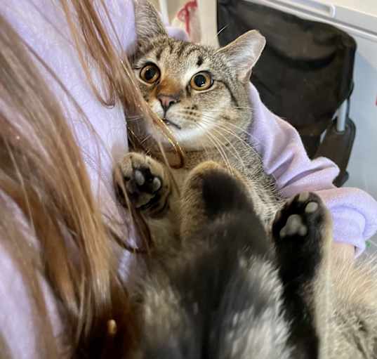 Photo of Tabitha