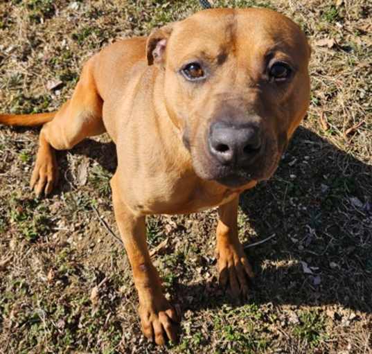 Photo of Bourbon