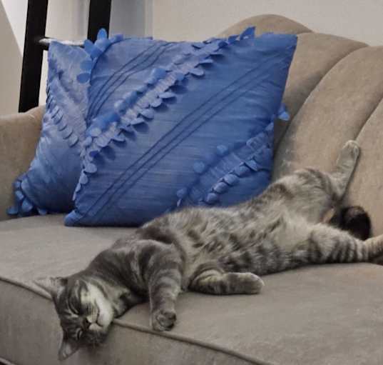 Photo of Blue