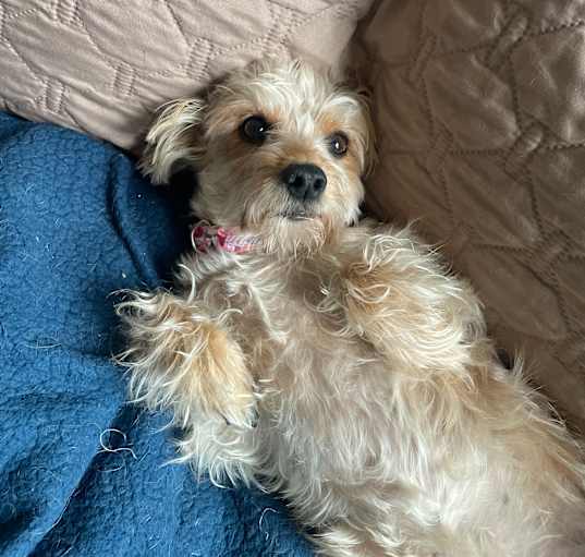 Photo of Mia