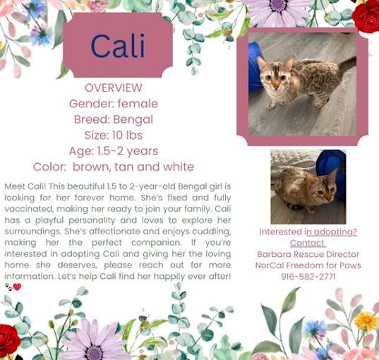 Photo of Cali