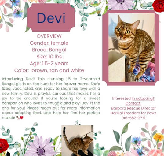 Photo of Devi