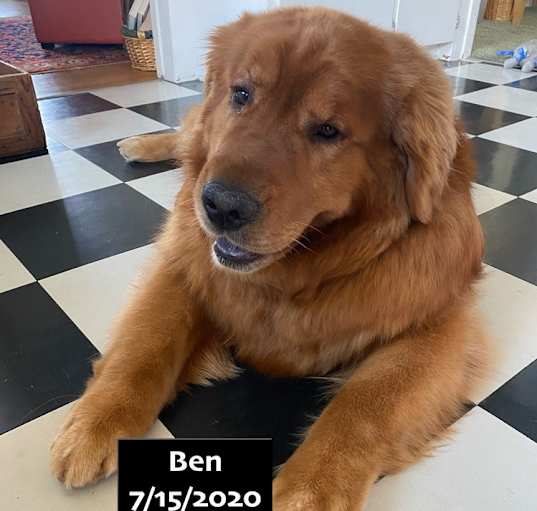 Photo of Ben