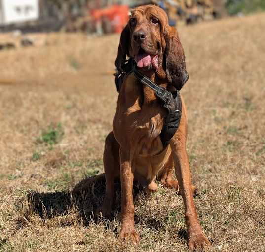 Photo of Zeus