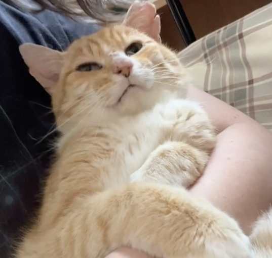 Photo of Boo Boo