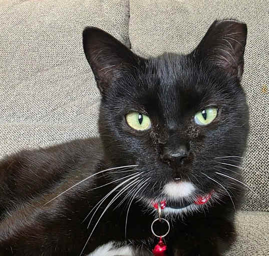 Photo of Tabitha