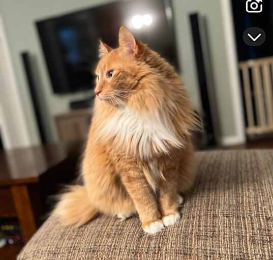 Photo of Gabe