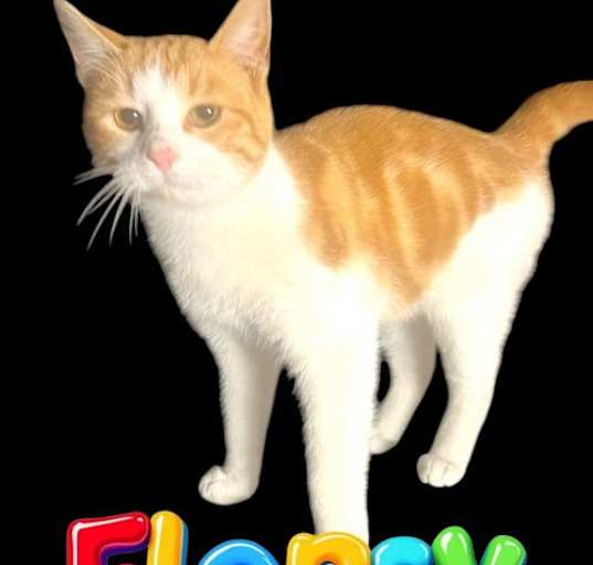 Photo of Flopsy
