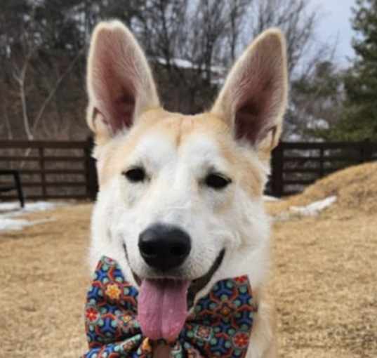 Photo of Haru