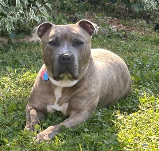 Photo of Finnley
