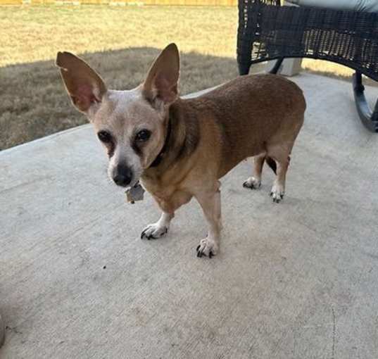 Photo of Riley