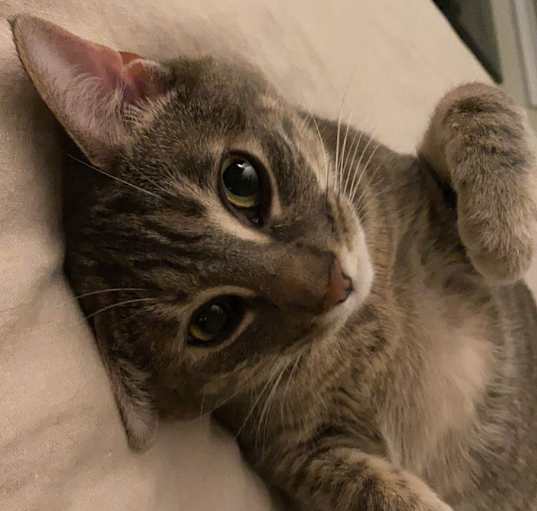 Photo of Mila