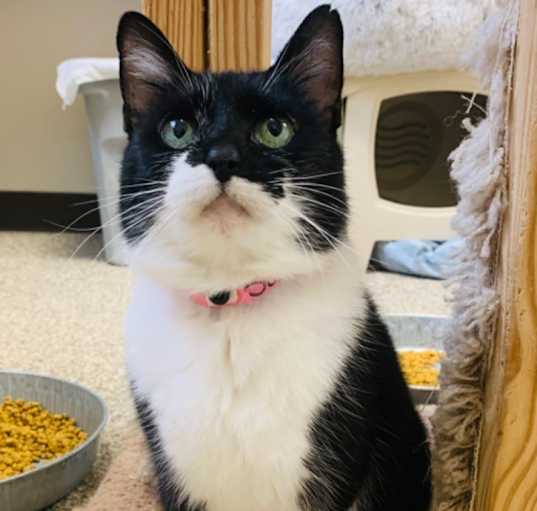 Photo of Sundae