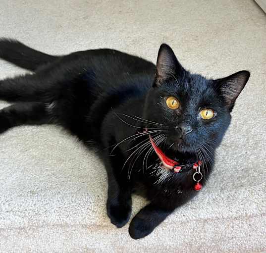 Photo of Ember23