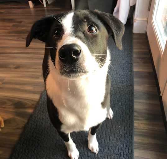 Photo of Ada