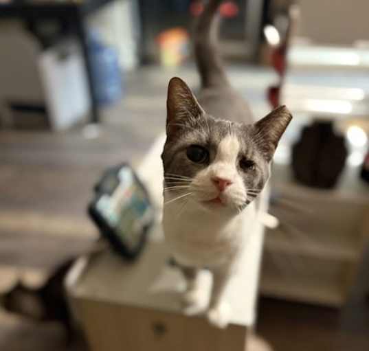 Photo of Trista