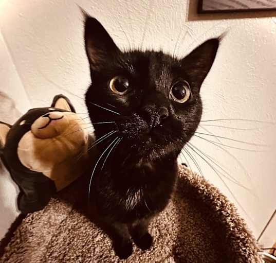 Photo of Bubbles