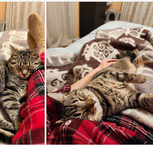 Photo of Lilly