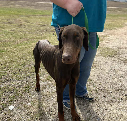 Photo of Tyr