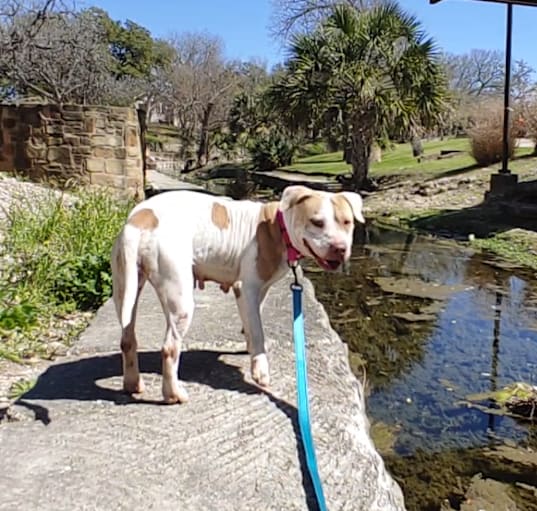 Photo of Matilda