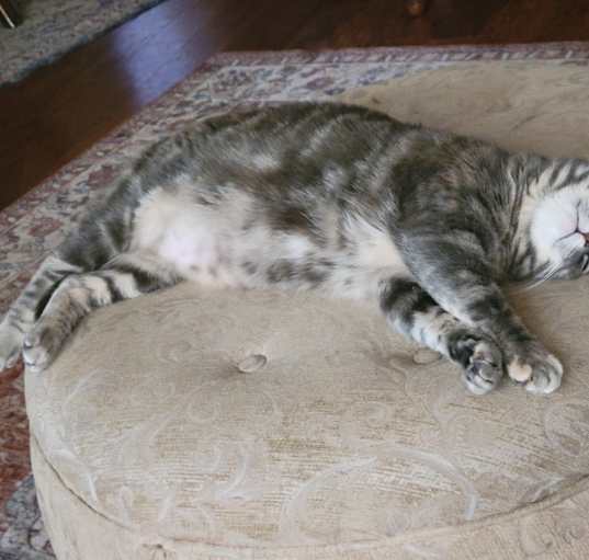 Photo of Angel
