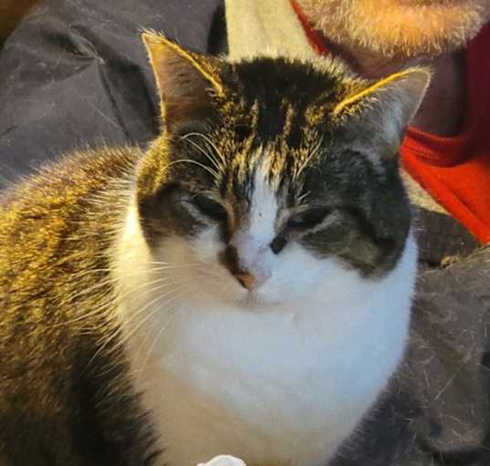 Photo of Momma T