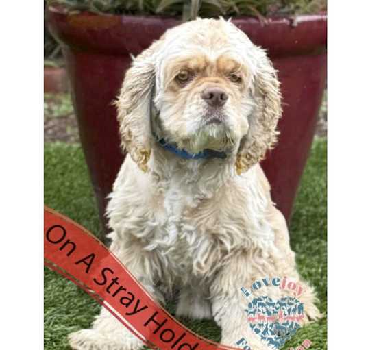 Photo of MB Bogey