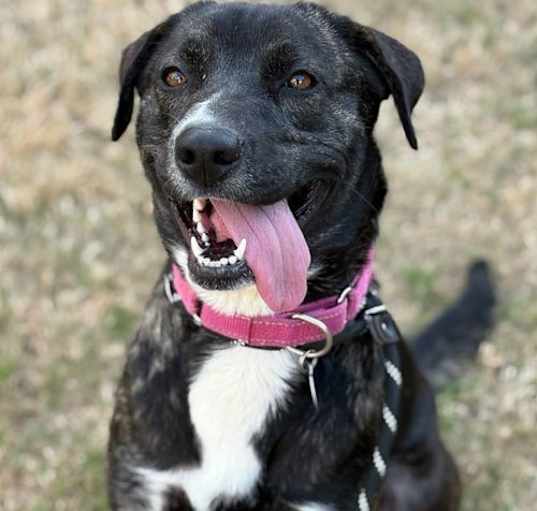 Photo of Cali