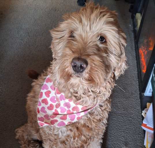 Photo of Niya