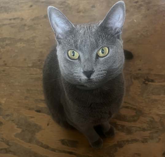 Photo of Promise