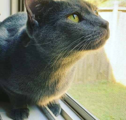 Photo of Sylvie