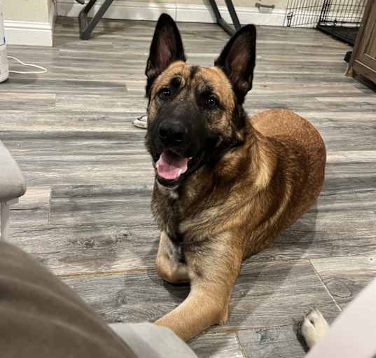 Photo of Max