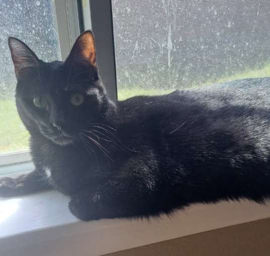 Photo of Azula