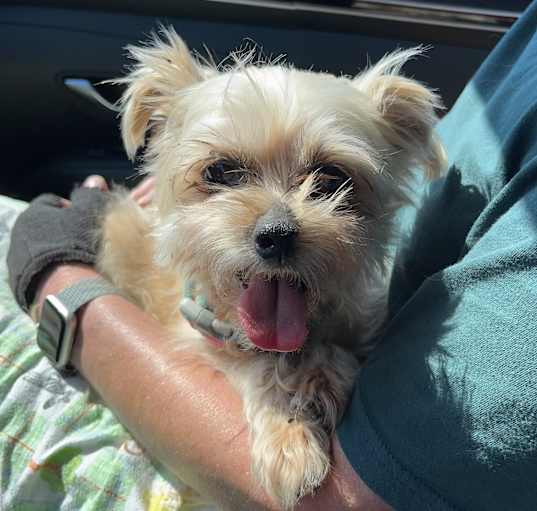 Photo of Finnley