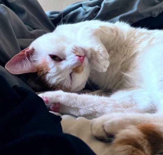 Photo of Carl