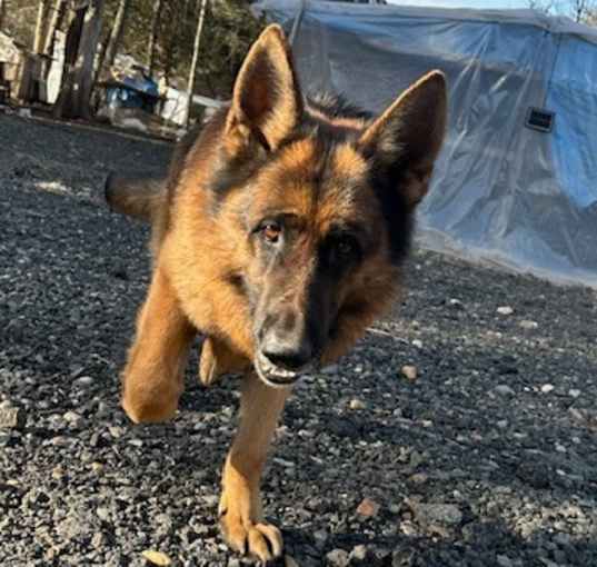 Photo of Hercules