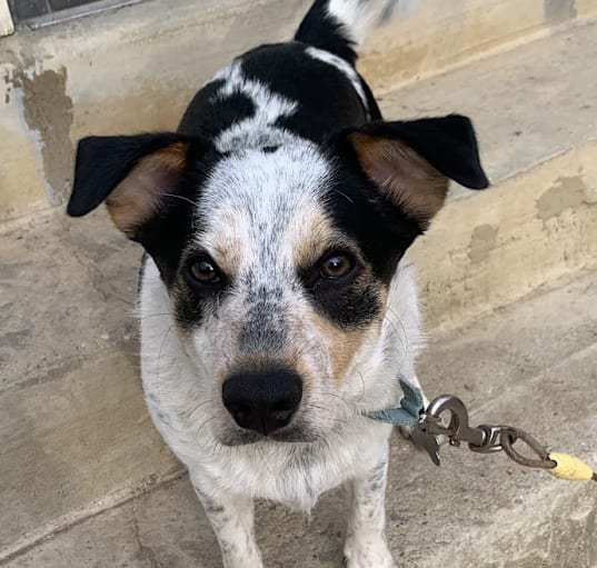 Photo of Jeffrey